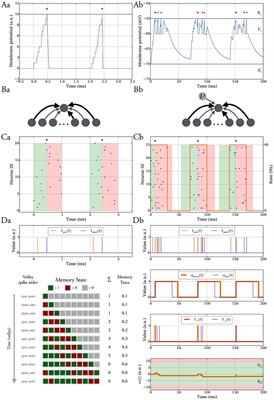 A Model of Fast Hebbian Spike Latency Normalization